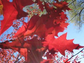 2017-10-30 20:21:57
