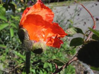 2017-10-30 20:21:58