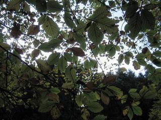 2017-10-30 20:22:03
