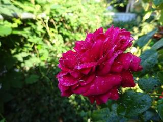 2018-07-31 23:27:36