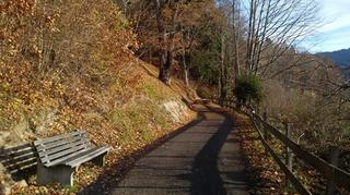 2018-11-28 21:42:49