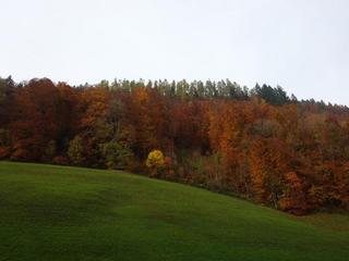 2018-11-28 21:43:09