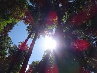2018-05-21 15:34:44