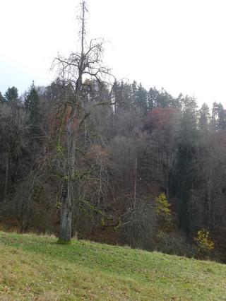 2019-11-30 16:45:31