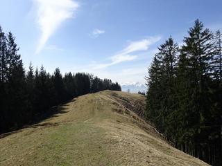 2020-03-30 14:03:48