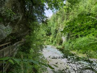 2020-06-08 10:01:45