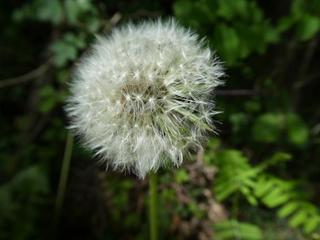 2020-05-31 10:58:51