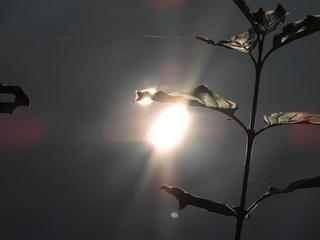 2020-09-29 16:46:32
