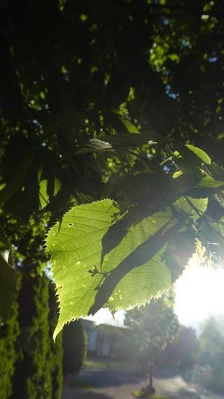 2021-06-29 20:50:30