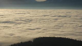 2025-01-29 20:41:12